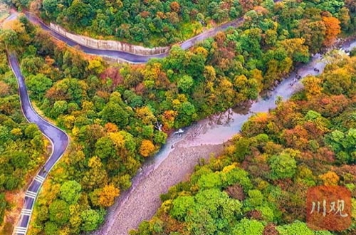 大熊猫带你“森”呼吸！四川省生态旅游节下周在雅安荥经开幕