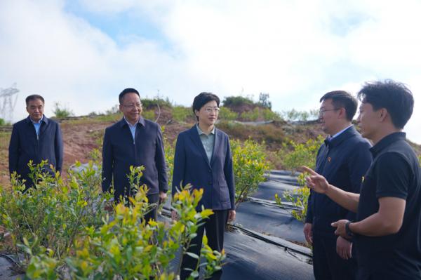 四川：施小琳在凉山州调研时强调 做强特色优势产业 着力保障改善民生 扎实推动民族地区高质量发展(图2)