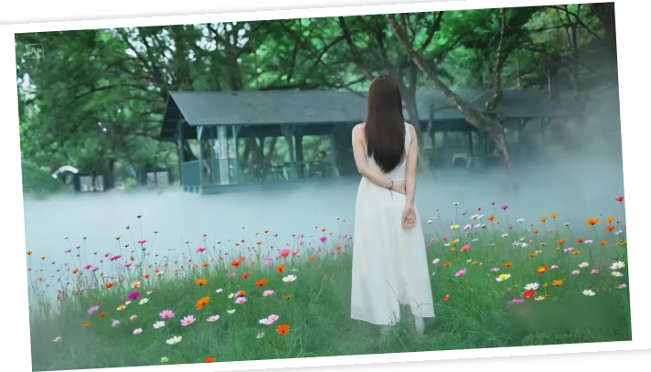 有这事！黄山这个秘境“不正常”：卫生间被围观，温度骤降6℃，